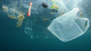 플라스틱 없는 바다를 만들기 위한 깨끗한 해안