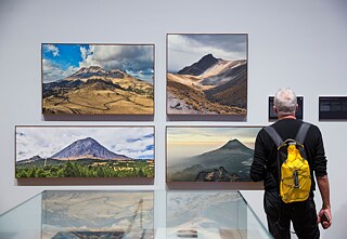  David Guarnizo. A natureza das coisas. Fórum Humboldt, Berlim,  2019.  