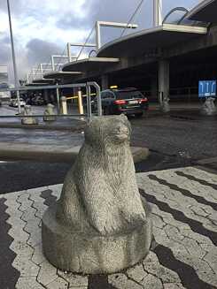 Bär am Straßenrand