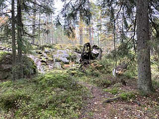 Die typischen Felsen