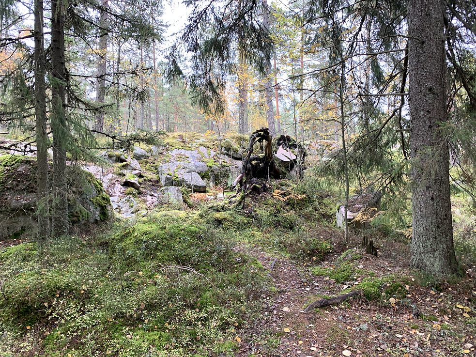 Die typischen Felsen