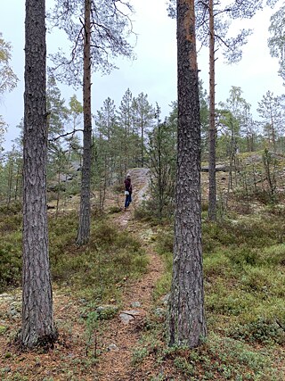 Nuukiso Nationalpark © © Lena Gerken Nuukiso Nationalpark