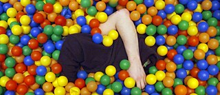 All Creatures Welcome © © SandraTrostel  All Creatures Welcome