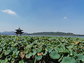 Quelle der Inspiration für Kunst und Literatur ist immer wieder der Westsee