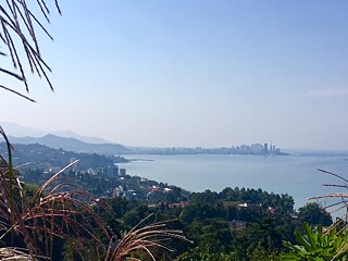 Botanischer Garten von Batumi