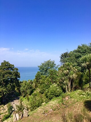 Botanischer Garten von Batumi