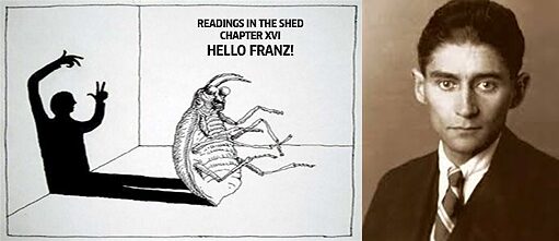 Readings in the shed | Chapter XVI: Hello Franz!