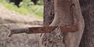 The Dusk of the Amazon Banner