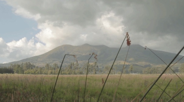 The Sleeping Elephant 