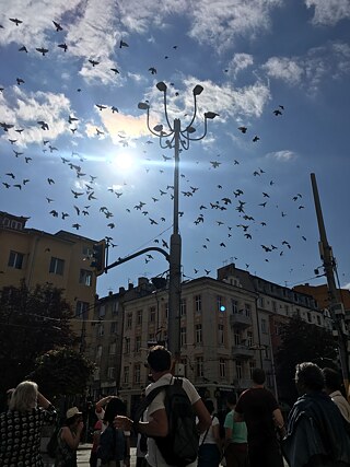 Impressionen eines wunderschönen Tages in der bulgarischen Hauptstadt