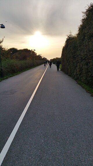Ein klassisches Bild: Fuß- und Radweg unmittelbar nebeneinander.