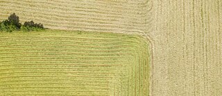 ヨーロッパ文芸フェスティバル2019