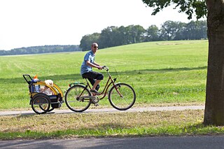 Cargo-bike dad