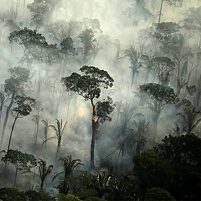 Požár deštného pralesa: Oheň a oblaka dýmu v Amazonii u města Porto Velho 