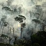 Der Regenwald brennt: Feuer und Rauchschwaden im Amazonasgebiet bei Porto Velho.