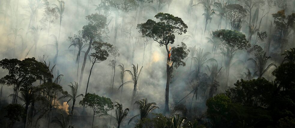 The rainforest is on fire: smoke and flames in the Amazon region near Porto Velho.