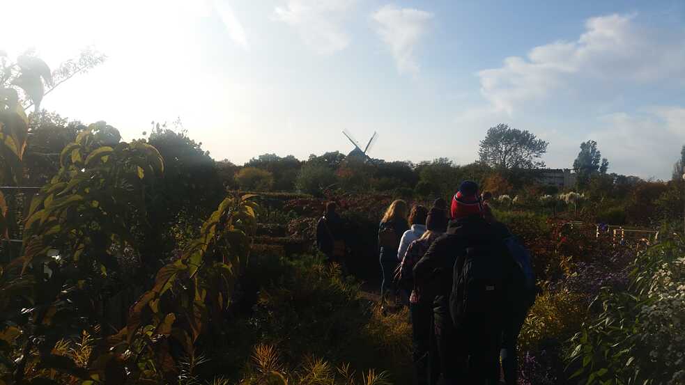 Community Garden