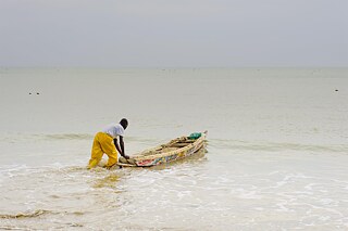 <b>Profit abfischen</b><br>Auch der europäische Fischkonsum hat seine Schattenseiten im globalen Süden, wie man zum Beispiel im Senegal beobachten kann. Hier ist Fisch ein Grundnahrungsmittel, und rund 600.000 Menschen verdienen ihren Lebensunterhalt im Fischereisektor. Doch durch Fischereiabkommen fischen auch Fangflotten der Europäischen Union (EU) in afrikanischen Gewässern. Denn die Nachfrage der EU kann mit Fisch aus den eigenen Gewässern nicht mehr gedeckt werden. Seit Mai 2014 darf die EU nun beispielsweise 14.000 Tonnen Thunfisch pro Jahr vor der senegalesischen Küste fischen. Im Senegal jedoch können viele Menschen vom Fischfang nicht mehr leben und müssen nicht selten ihre Heimat verlassen.