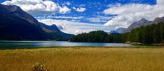 Природа_книжный клуб_4_Мари Альбертс