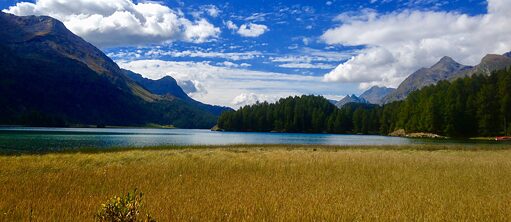 Природа_книжный клуб_4_Мари Альбертс