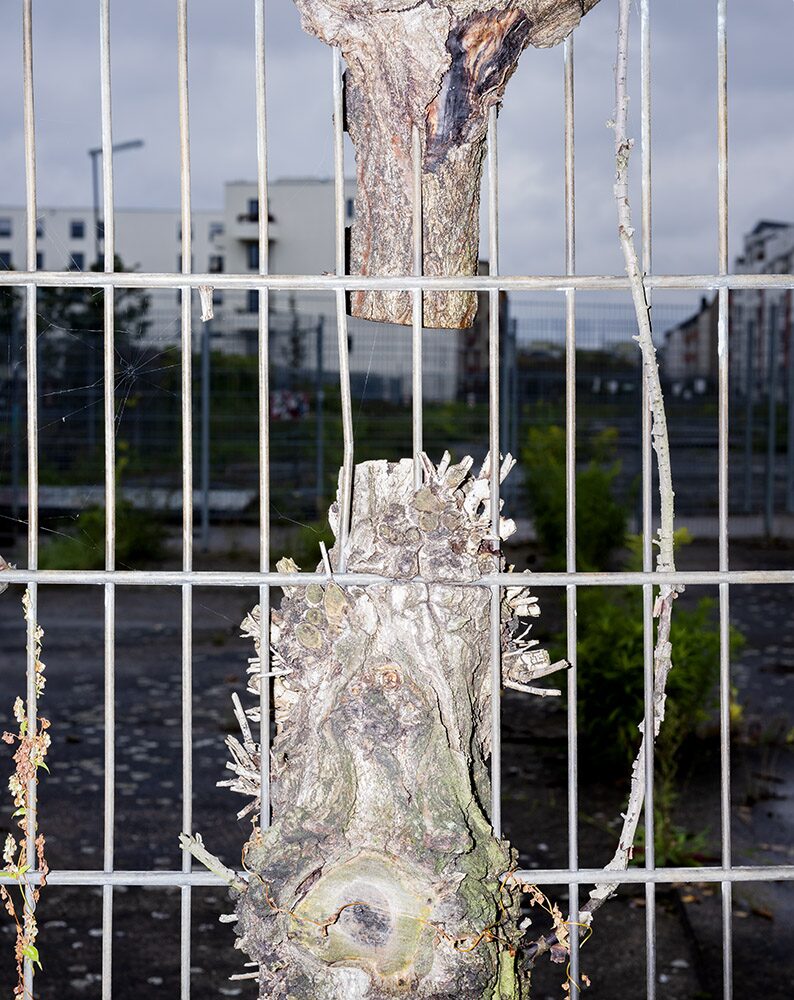 Reste der Berliner Mauer in der Schwedter Straße