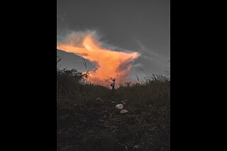 Wolke - Shivam Tiwari