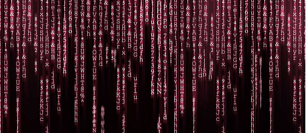Illustration: Der Kampf mit Trollen im Internet – Perspektive Lettlands