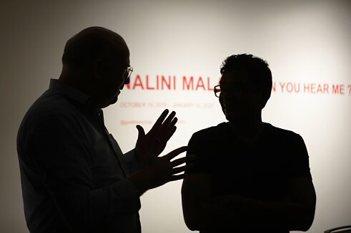 Nalini Malani: Can you hear me?