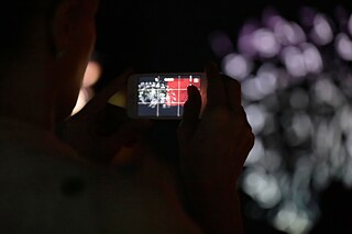 Nalini Malani: Can you hear me?