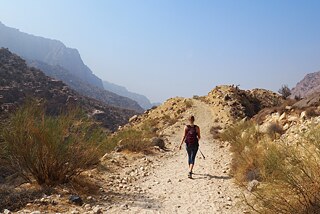 Auf dem Weg nach Feynan