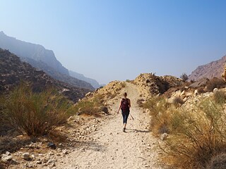 Auf dem Weg nach Feynan