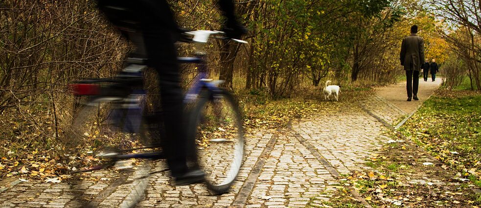 Park auf dem Nordbahnhof