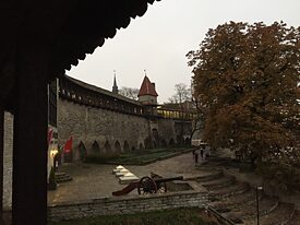 Tallinns Stadtmauer