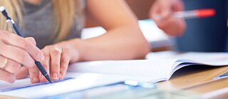 8. Mit welcher Fremdsprache soll mein Kind anfangen?