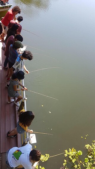 Campamento estudiantil PASCH 2019 en Pantanal, Brasil