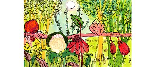 A Love Latika © Paromita Vohra