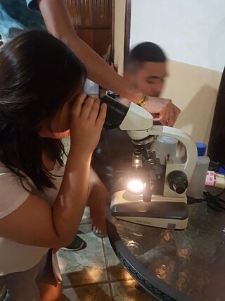 Campamento estudiantil PASCH 2019 en Pantanal, Brasil