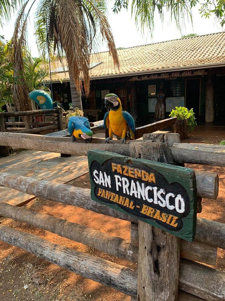 Campamento estudiantil PASCH 2019 en Pantanal, Brasil