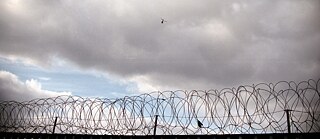 Residenz Tijuana 2019 3