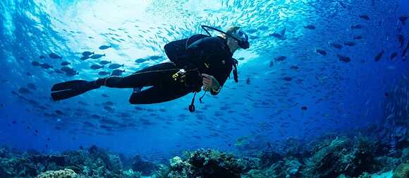 Taucher im Meer