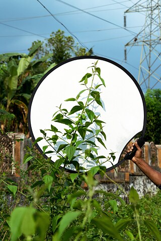 Communist Pacha &copy; © Flo Maak Communist Pacha