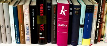 Goethe-Institut Übersetzungsförderung