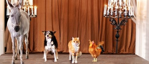 Die Bremer Stadtmusikanten