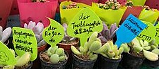 共筑未来：气候