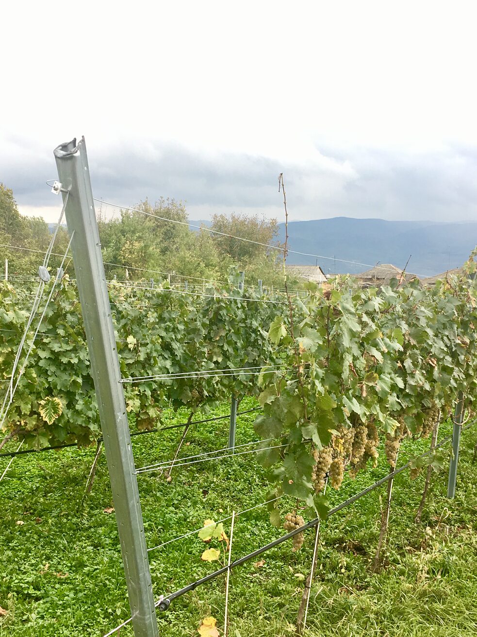 Auf dem Weg zur Kirche 