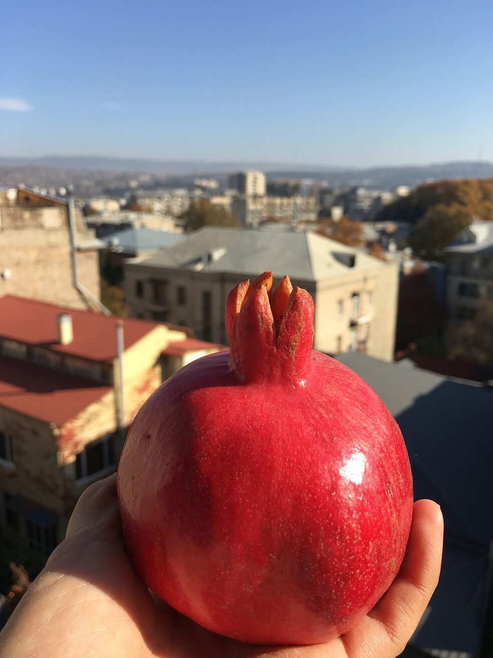Die letzten Monate gab‘s bei mir um den Vitaminhaushalt aufzufrischen oft und gerne Kaki und Granatapfel