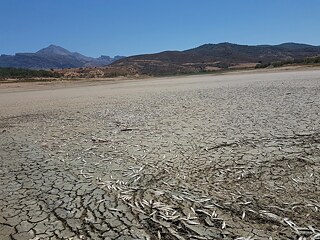 Un barrage asséché, son sol couvert de poissons morts.