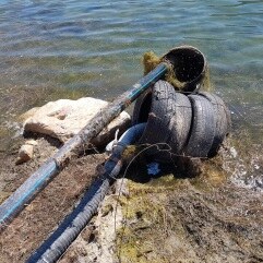 Gros plan sur un tube en plastique recouvert de mousse dans l'eau.