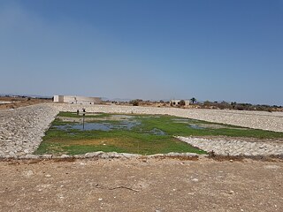 Dry area, with a recharge basin in the center, filled with greenery.