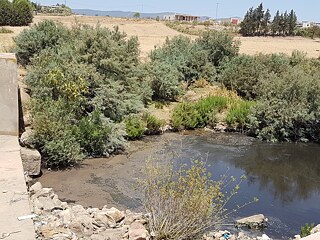 Photo prise depuis un pont surplombant une rivière gris brunâtre polluée.